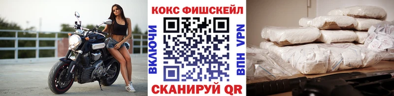 купить закладку  Ангарск  КОКАИН FishScale 