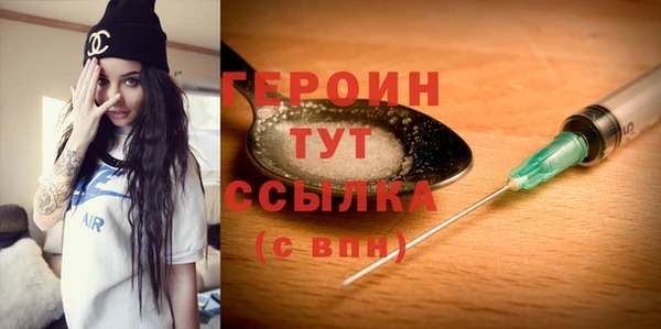 индика Ельня