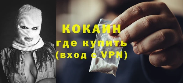 индика Ельня