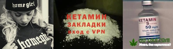 индика Ельня