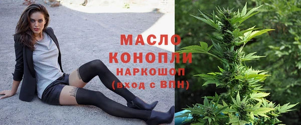 индика Ельня