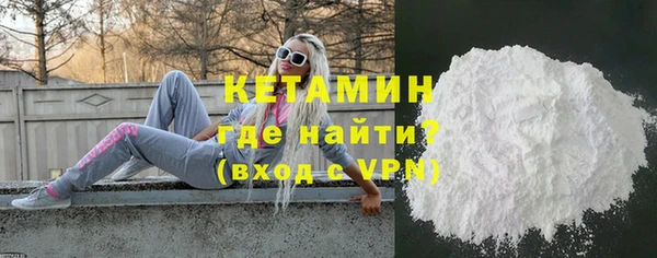 индика Ельня