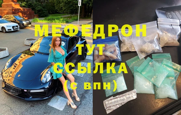индика Ельня