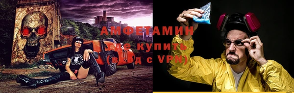 индика Ельня