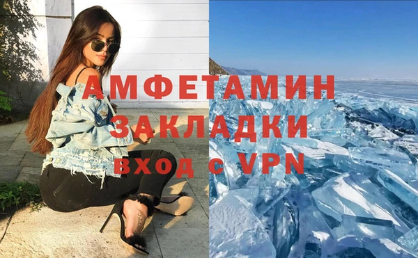 индика Ельня